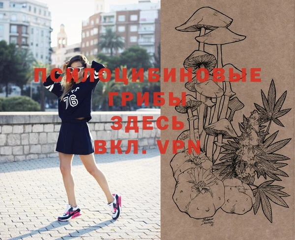 бошки Беломорск
