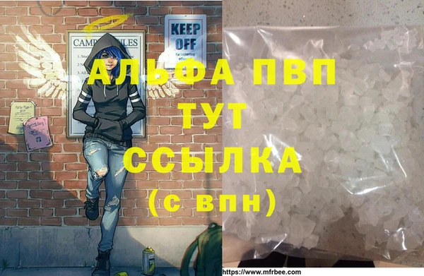 молекула духа Белоозёрский