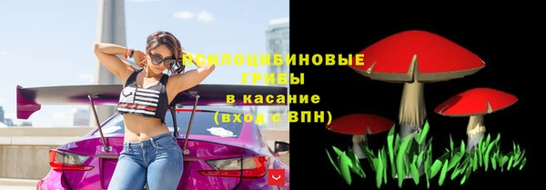 бошки Беломорск