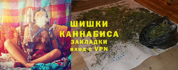 молекула духа Белоозёрский