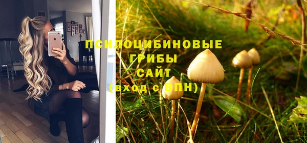 соль курить ск Белокуриха