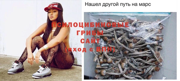 соль курить ск Белокуриха