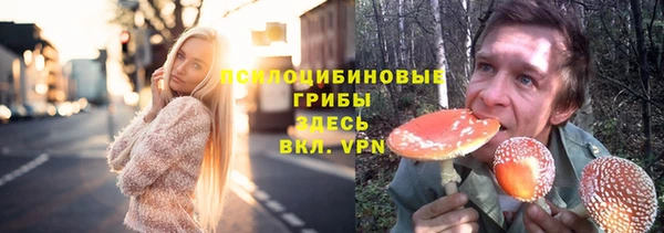 молекула духа Белоозёрский